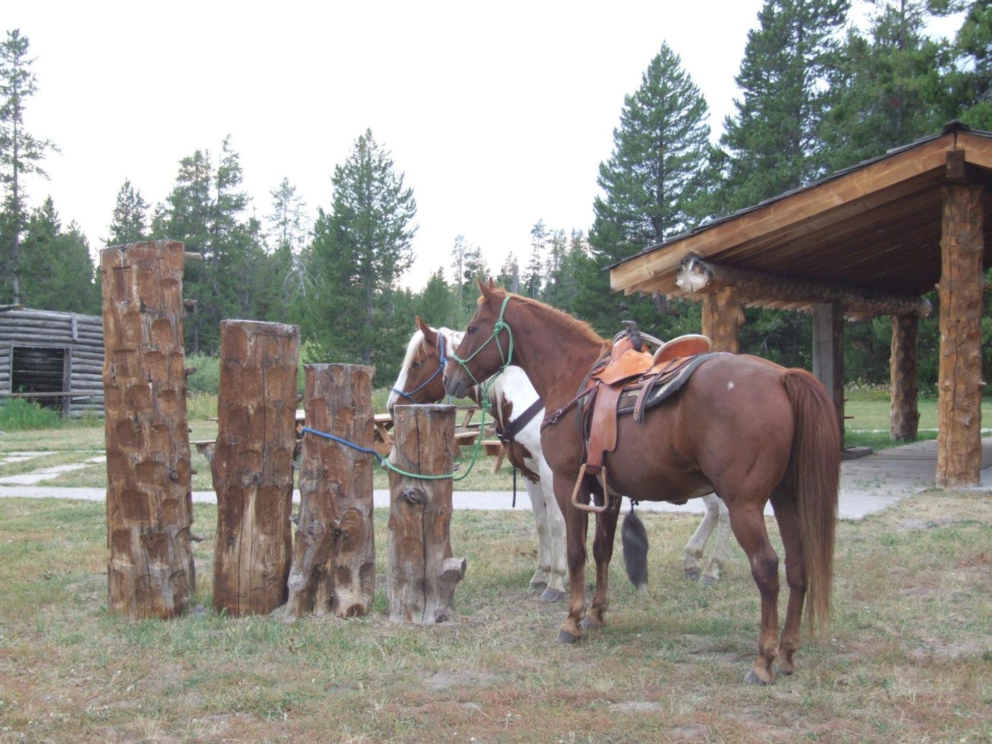 Villa Eagle Ridge Ranch Island Park Exterior foto