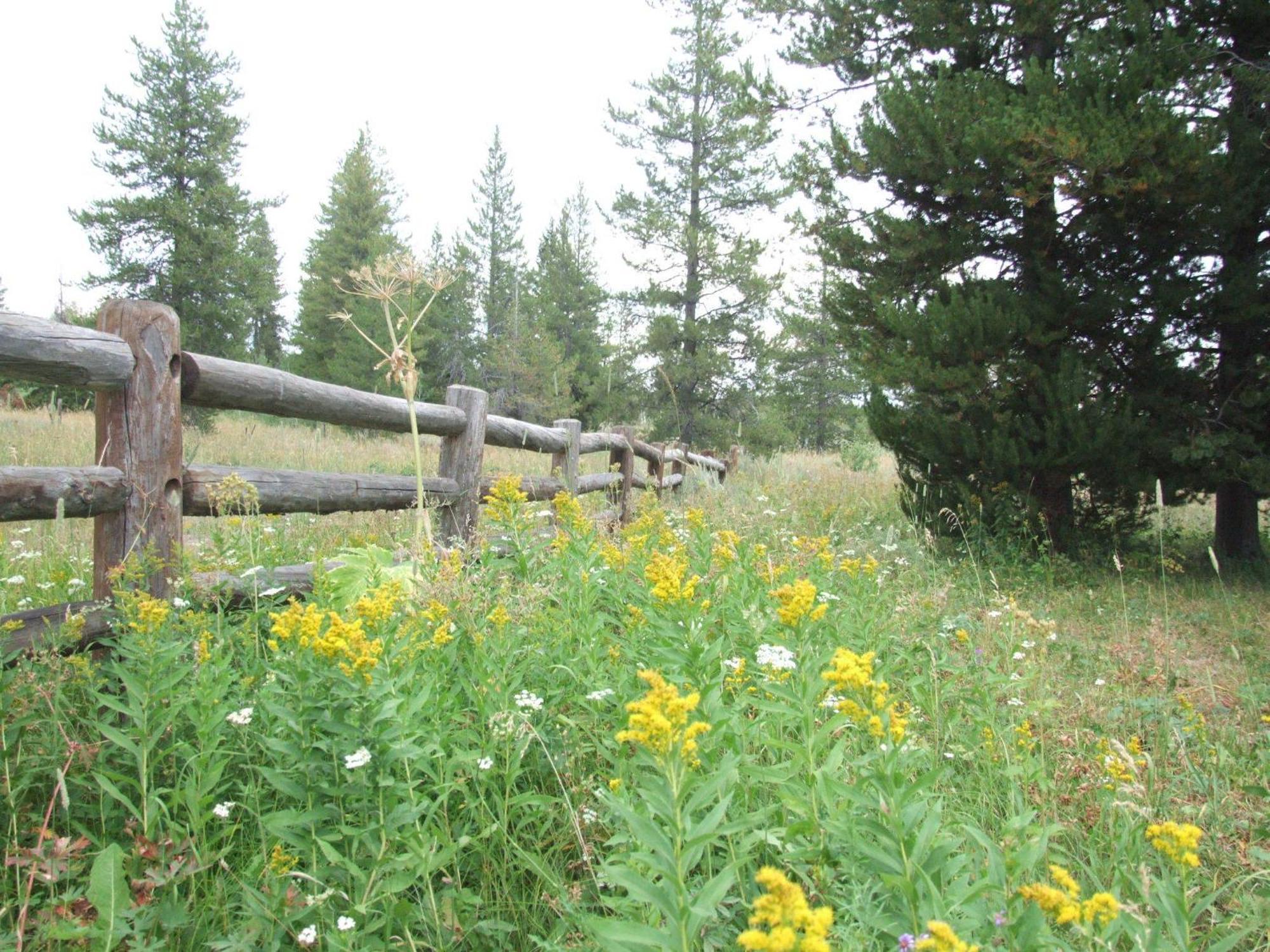 Villa Eagle Ridge Ranch Island Park Exterior foto